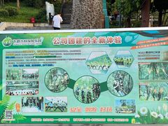 -天鹿湖森林公园