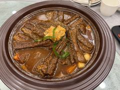 -丁老爷子苏香圆