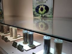 -陕西自然博物馆