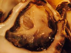 -斯普汇生蚝牛排馆(中骏世界城店)