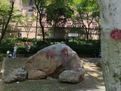 -武汉大学-樱园