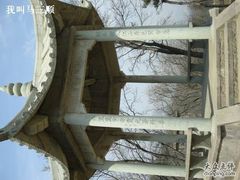 -北京鹫峰国家森林公园