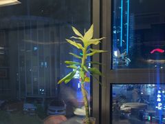 -船家渔(徐州北路店)