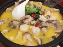 -鲁宴·鲁煨黄河生态大鲤鱼(月坛店)