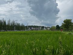 -花溪公园
