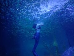 -常州海昌海洋探索馆