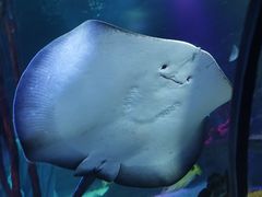 -沈阳海洋探索中心