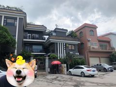 -阿多私房菜(顺德店)