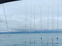 -小猫钓鱼海钓俱乐部(椰梦长廊店)