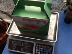 -喜杨洋草莓采摘园