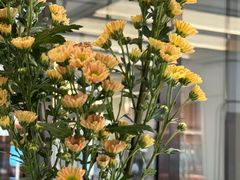 -南堂馆·新川菜(春熙路店)