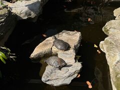-谷咖啡·鲜花绿植花园餐厅