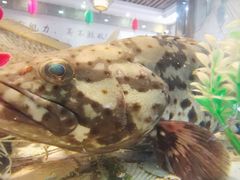 -巽寮印象美食部落餐厅·海鲜·地方特色菜(惠州体验店)