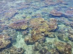 -三亚西岛海洋文化旅游区
