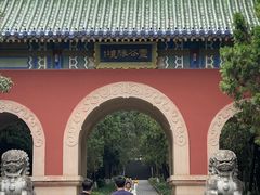 -灵谷景区