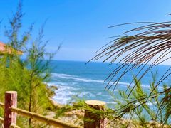 -广东惠东海龟国家级自然保护区