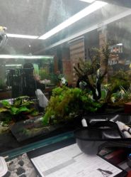 android_upload_pic-小左美发