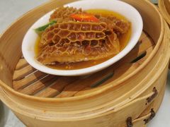 -东方柏宴