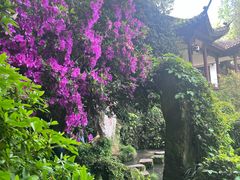 -杭州黄龙洞