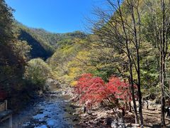 -关门山森林公园