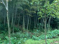 -黄公望隐居地