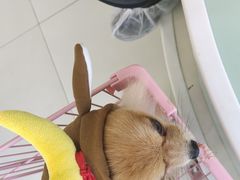 -怪兽屋·羊驼·猫咖·狗咖(俊华广场店)