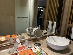 -台北北投丽禧温泉酒店