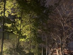 -杭州西湖博物馆总馆