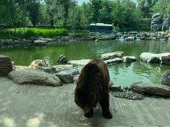 -北京野生动物园