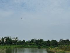-空港花田景区