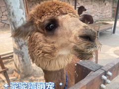 -静之湖度假区