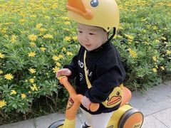 -八爪矩阵极限运动馆·儿童平衡车·感统训练(南海子公园校区)