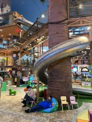 -卡通尼·Safari非洲探索乐园·生日会(金桥国际商业广场店)