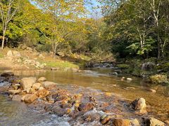 -五女峰国家森林公园