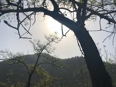 -潭溪山