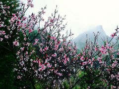 -山西壶关太行山大峡谷旅游景区