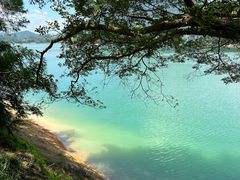 -广州市流溪河国家森林公园