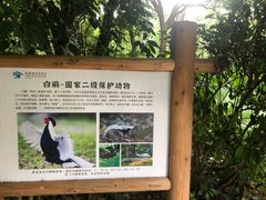 -福建鲤鱼洲酒店