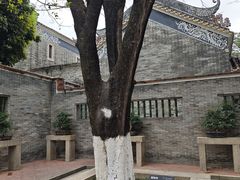 -碧江金楼
