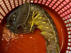-ZF Seafood Restaurant 卓峰海鲜餐