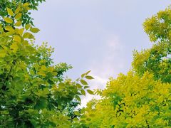 -映月湖中央公园