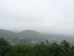 -上海佘山国家森林公园西佘山园