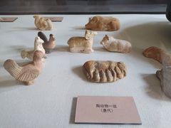 -北京动物园-畅观楼