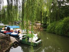 -西苑公园