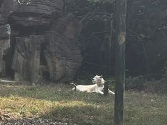 -杭州野生动物世界