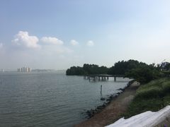 -海鸥岛