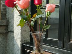 -Mammamia意大利餐厅(阳春巷店)