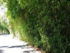 -贵阳市花溪国家城市湿地公园