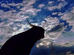 -印象城购物中心-停车场