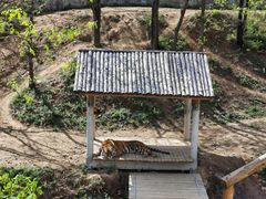 -石家庄市动物园